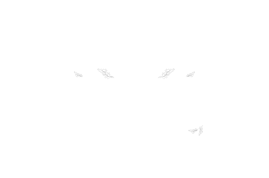 Saor