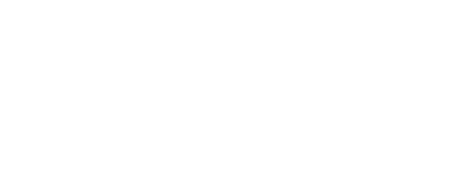 Logo_Ydhessa_White