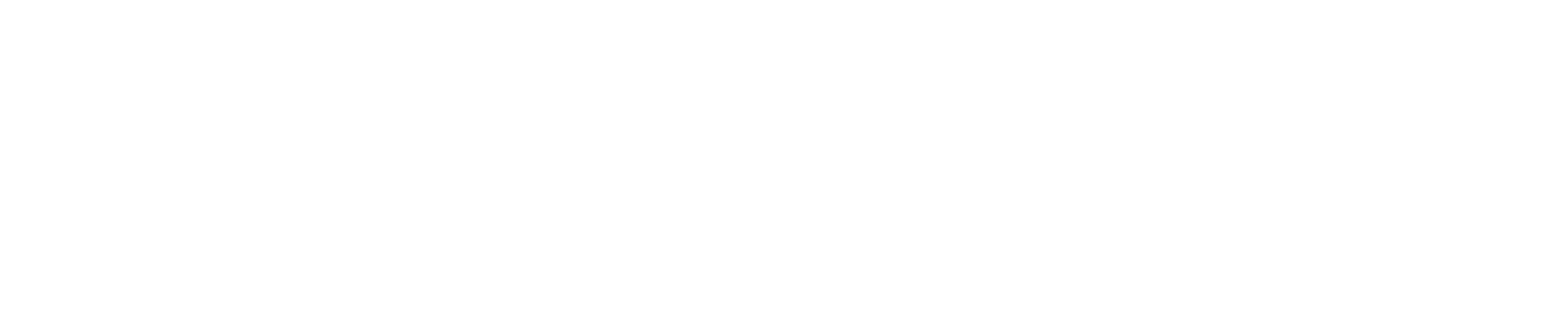 logo_EINHERJER_blanc